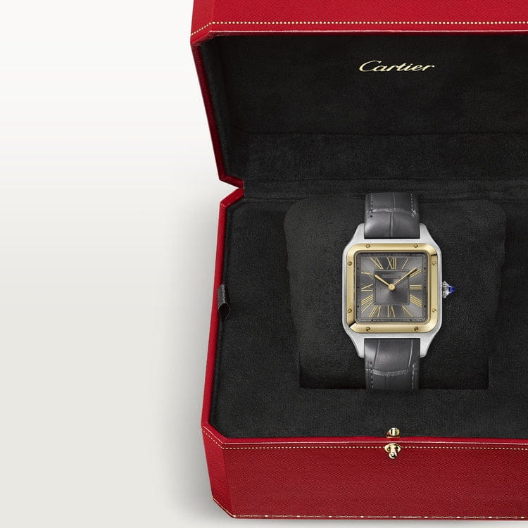 32mm Cartier Santos-Dumont Large - Image 4