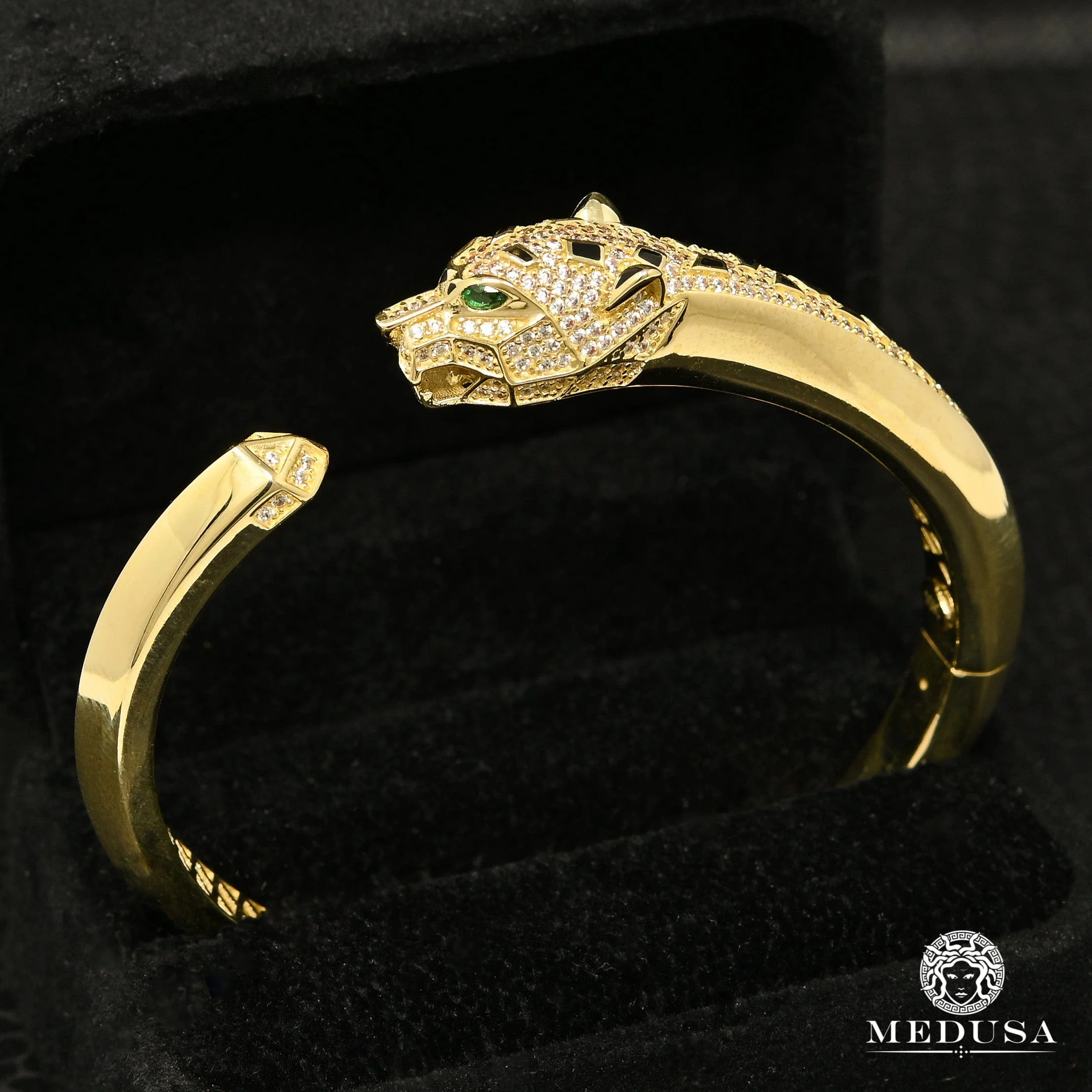 Bangle X10 - Tiger