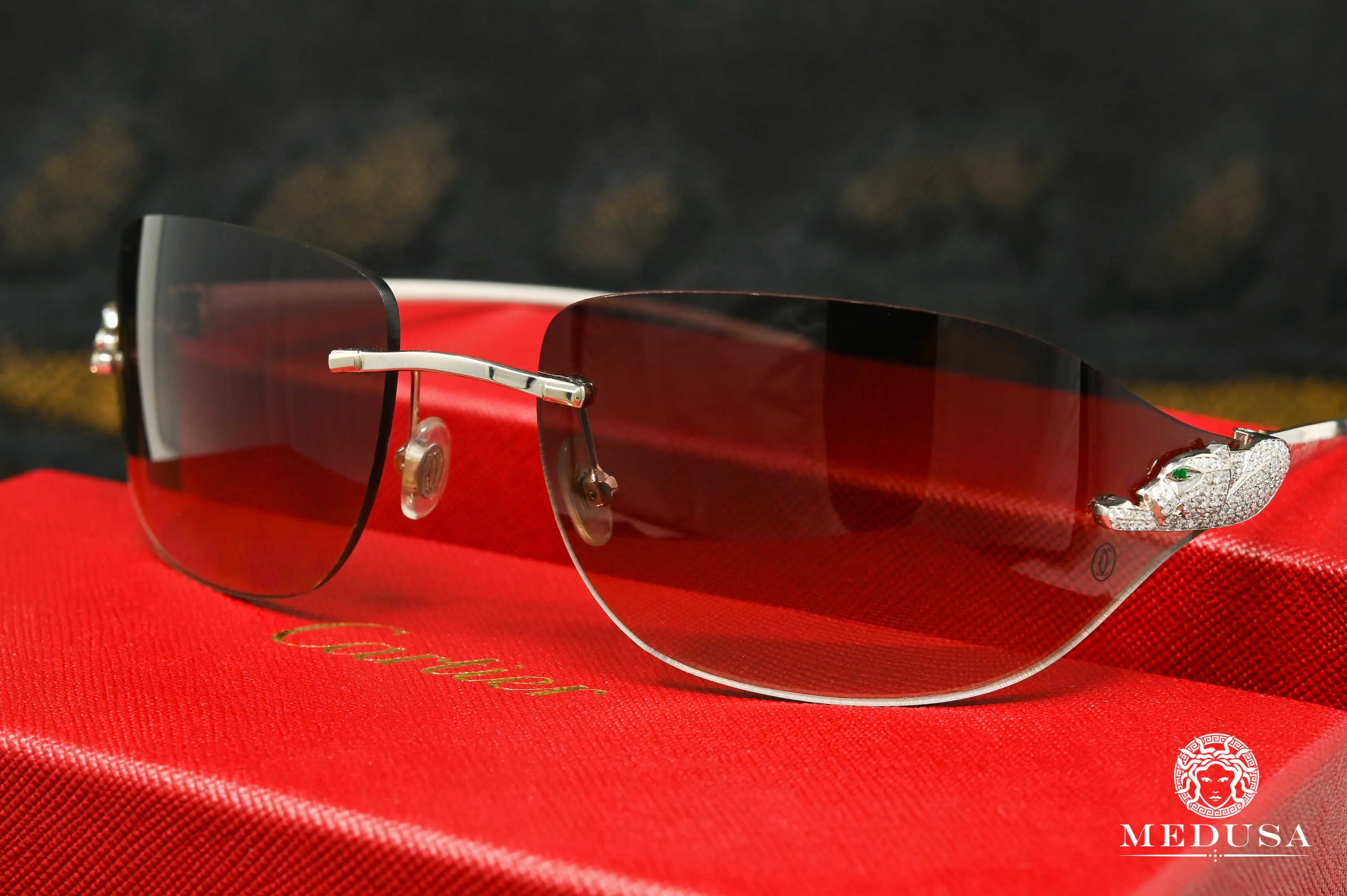 Cartier Panther | Silver 