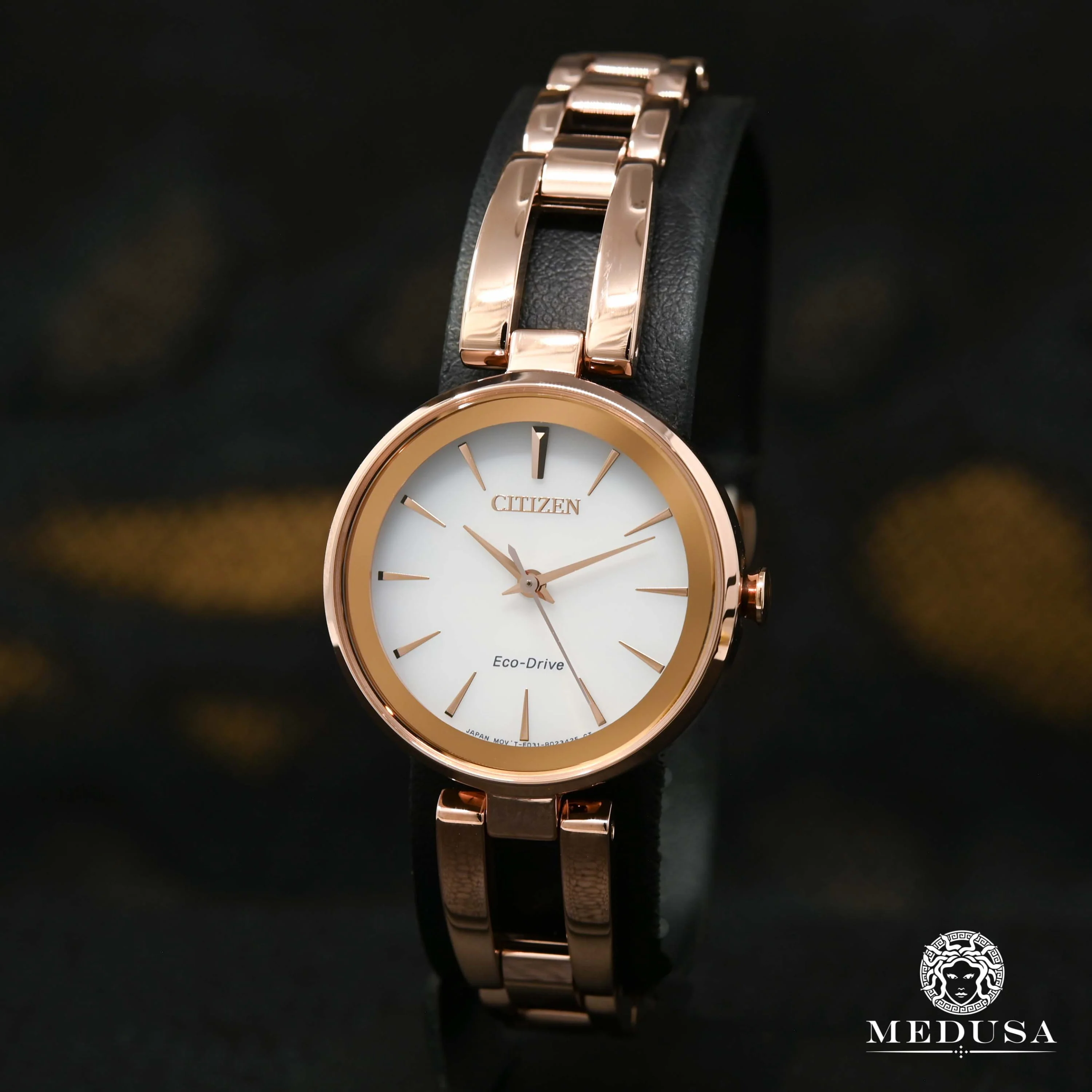 Citizen Axiom EM0633-53A 