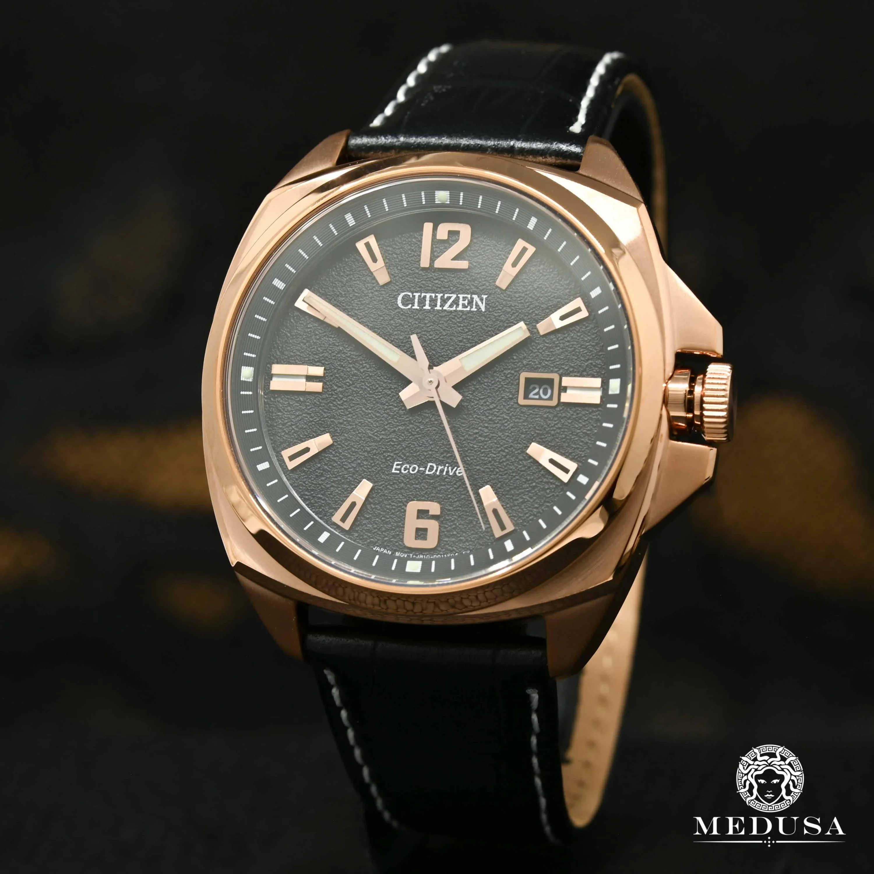Citizen Endicott AW1723-02E 