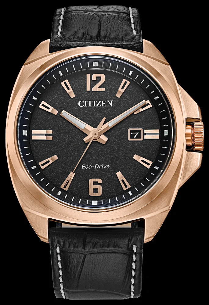 Citizen Endicott AW1723-02E  - Image 2