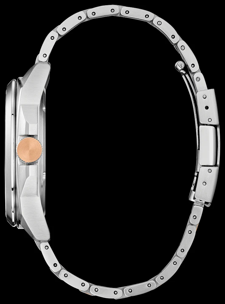 Citizen Endicott AW1726-55L - Image 3