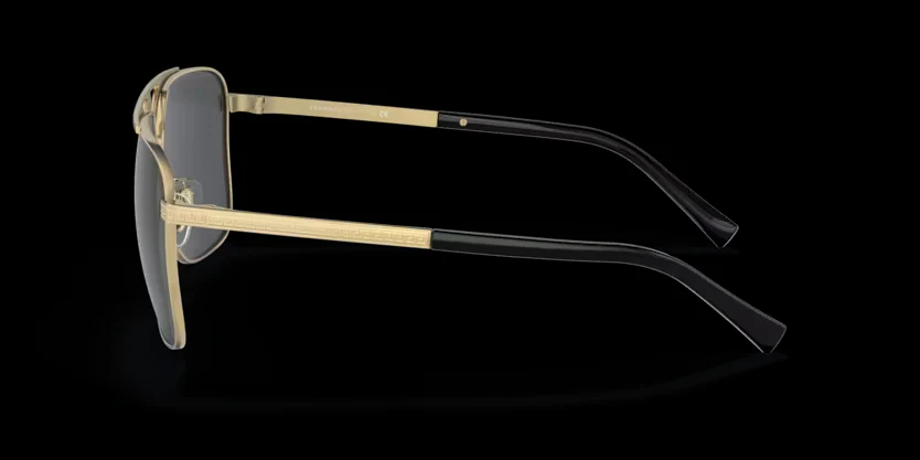 Versace Medusa Greca - 0VE2238  - Image 2